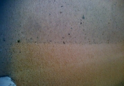 galleryimage23