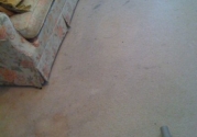 galleryimage69
