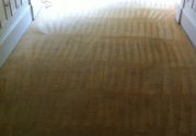 photo-5