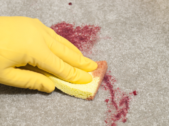 How to Remove Dried Blood Stains from Carpet