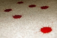 Smart Homeowner's Guide to Carpet Cleaning - Cleaner Cleaner