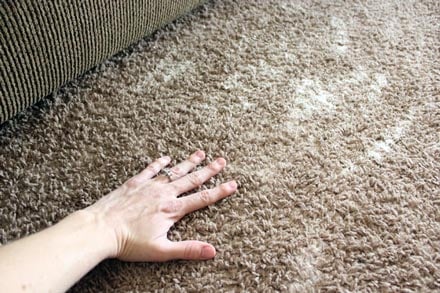 baking soda eco carpet cleaning