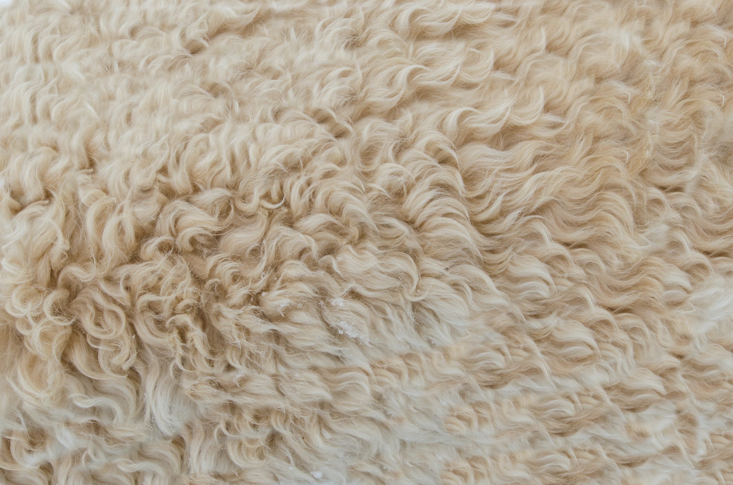 How to Clean a Wool Rug